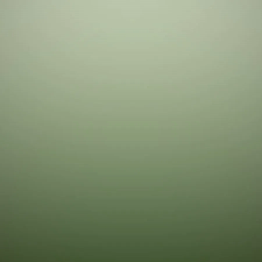 Róże w ogrodzie o zachodzie słońca