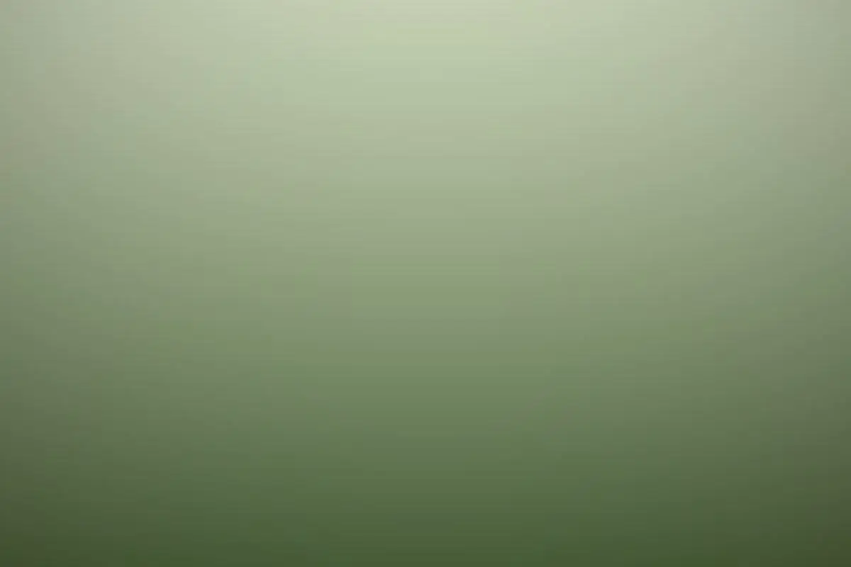 Ślub w ogrodzie