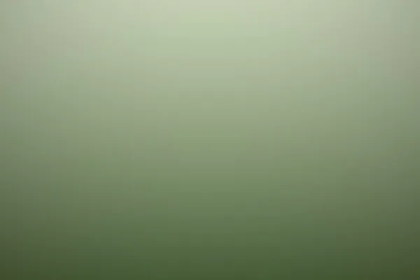Ślub w ogrodzie